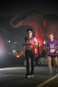 BIB: 
                            <button type="button" onclick="openModal(26531195)" class="btn btn-primary btn-sm float-right btn-popup" data-toggle="modal" data-target=".modal-high-quality">
                        <i class="fas fa-shopping-cart"></i> Add to Cart
                    </button>
                                            <button type="button" onclick="isThisMe(26531195, true)" class="btn btn-success btn-sm float-right btn-popup btn-isme hidden" data-toggle="tooltip" data-placement="bottom" title="นี่คือรูปของคุณใช่ไหม คลิกที่นี่เพื่อเอาเข้าอัลบั้ม">
                        <i class="fas fa-plus"></i> Add to album
                    </button>
                    <button type="button" onclick="isThisMe(26531195, false)" class="btn btn-warning btn-sm float-right btn-popup btn-isnotme hidden">
                        <i class="fas fa-ban"></i> Remove from album
                    </button>